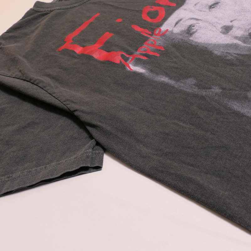 Fiona Apple When The Pawn Tee  - Band Tee Faded 90S avaliação e preço